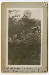 Le peintre Paul Cézanne-Dans les fougères à Barbizon, 1894-img1