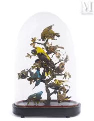 GLOBE D'OISEAUX--img1