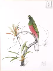 DE CHATENET Gaetan--img1