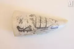 Scrimshaw : Dent de cachalot. Début 20ème siècle--img1