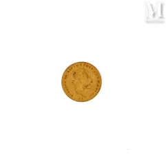 Pièce or 10 FF--img1