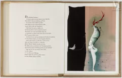 WUNDERLICH Paul (1927 – 2010): The songs of songs wich is Solomon’s. 10 lithographies.--img1