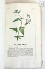 LE MAOUT (Emmanuel).--img1