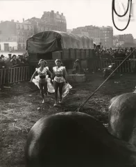 Willy RONIS (1910-2009)-Le Zoo circus d'Achille Zavatta, Paris, 1949-img1