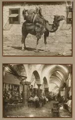 SEBAH &amp; JOALLIER-Turquie, c. 1880-1890-img1