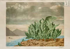 MAGRITTE René (1898 – 1967), d’après-L’ile au trésor-img1