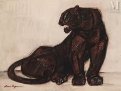 Jean ROYER (Xxe)-"Panthère noire "-img1