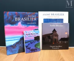 BRASILIER André – Lydia HARAMBOURG : André Brasilier--img1