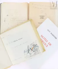 MARESTER Guy – Jean MIOTTE – Julius BALTAZAR : Voir vrai.--img1