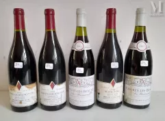 Ensemble de 5 bouteilles : 2 SAVIGNY-LES-BEAUNE 1994, 1 SAVIGNY-LES-BEAUNE 1991, 1 BEAUNE 1er CRU 1994, 1 CHOREY-LES-BEAUNE 1994--img1