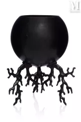 Hervé VAN DER STRAETEN (né en 1965)--img1