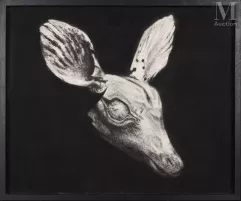 Marko VELK-Rustle, 2019-img1