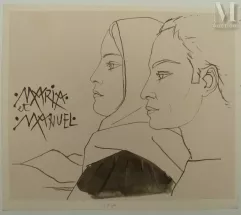 Pierre-Yves TREMOIS--img1