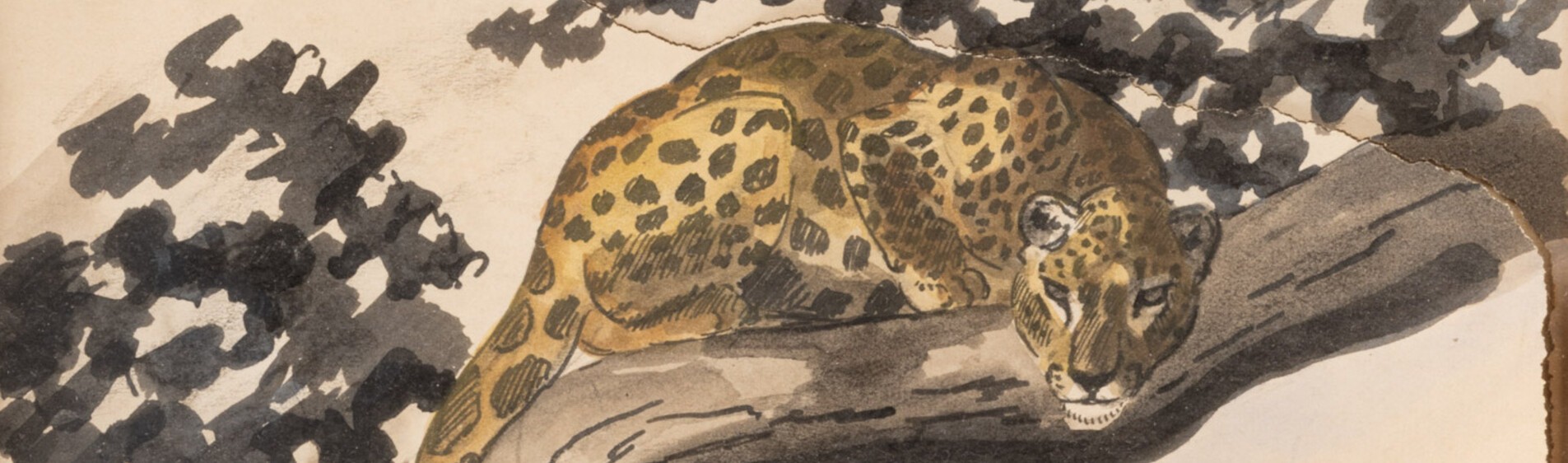 Spécialité Bestiaire Millon