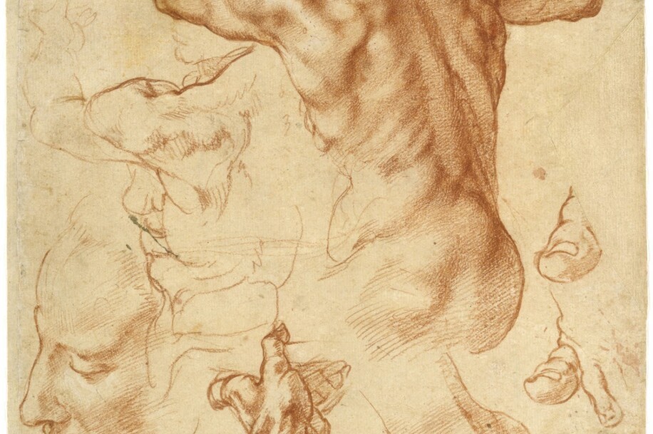 MILLON_dessin_anatomique