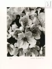 Denis BRIHAT (né en 1928)-Cartes de vœux-img1