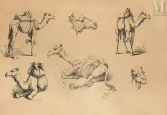 Armand POINT  (1860-1932)-Etudes de Dromadaire.-img1