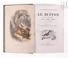 BLANCHARD, P. ; CHENU, M.-Cours élémentaire d'Histoire Naturelle. Le Buffon de la Jeunesse-img1
