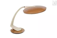 FASE-"Boomerang"-img1