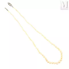 Collier perles fines--img1