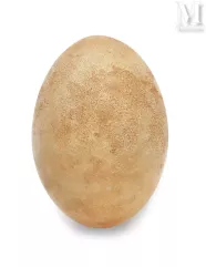 RARE OEUF D'AEPYORNIS MAXIMUS--img1