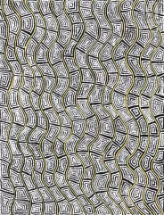 Maureen Hudson Nampitjinpa (1959 -  )-Country, 2010-img1