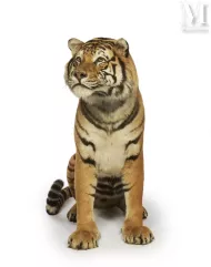 TRÈS BEAU TIGRE DE SIBÉRIE--img1