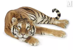 TRÈS JOLIE TIGRESSE--img1