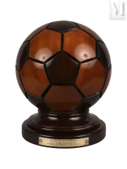 Trophée en bois--img1