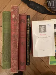 Lot de livres de la PLEIADE--img1