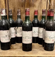 Pauillac (Bordeaux) ---img1