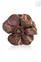 Claude LALANNE (1925 - 2019)-"Anémone"-img1