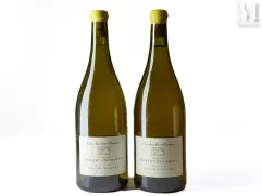 Mâcon-Solutré--img1