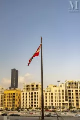 David LACAZE-Toujours debout?-img1