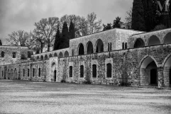 David LACAZE-Phénicie vénitienne-img1