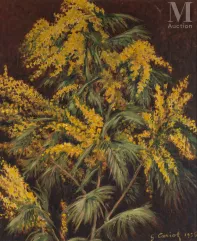 Gustave CARIOT (Paris 1872 - 1950)-Mimosa, 1935-img1