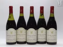 CLOS DE VOUGEOT, Grand Cru, Domaine Robert ARNOUX, 1993--img1
