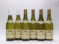 BOURGOGNE Aligoté, Domaine COCHE-DURY--img1