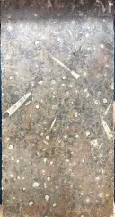 Marbre de l'Atlas--img1