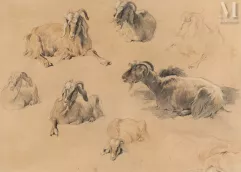 Xavier de PORET (Dinan 1894- Chambery 1975)-Etude de chêvres et de boucs-img1