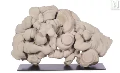 EXCEPTIONNELLE GOGOTTE--img1