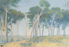 Achille LAUGE (Arzens 1861 - Cailhau  1944)-Pins à Belvuze-img1