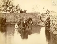 Achille QUINET (1831-1907)-École de Barbizon, c. 1870-1890-img1