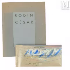 BOHBOT Michel - Julius BALTAZAR : La couleur et ses reflux--img1