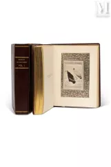 Unique album photographique reproduisant les peintures du Shah Jahan album (Album Kevorkian)-Inde moghole, XVIIe siècle ; reproduction photographique, XXe siècle-img1