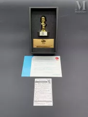 NINTENDO-Trophée Nintendo World Touch ! DS-img1