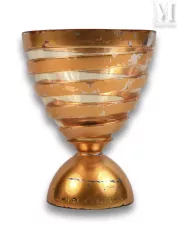Coupe de la Ligue 2009.--img1