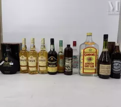 SPIRITUEUX DIVERS--img1