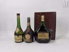 SPIRITUEUX DIVERS--img1