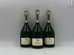 CHAMPAGNE--img1